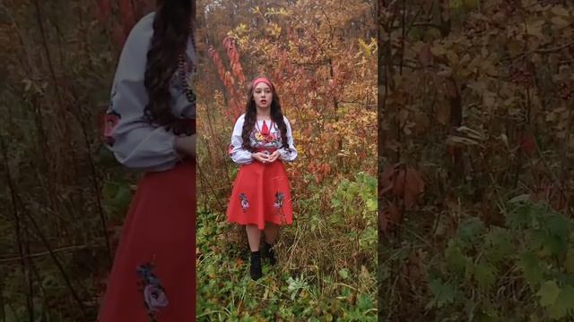 художнє читання, КЗ" Центр культури і дозвілля"Новопокровської селищної ради смотреть онлайн