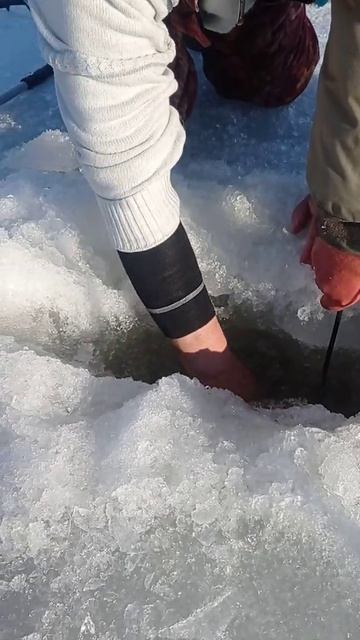 Вот это рыба! Что же там? смотреть онлайн