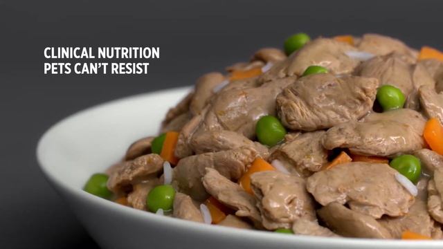 NEW Irresistible Hill's Prescription Diet STEWS for cats & dogs смотреть онлайн