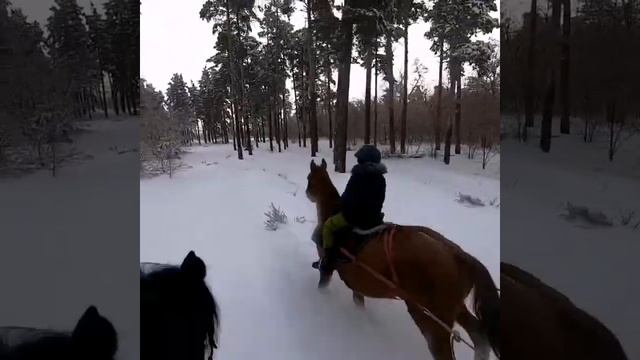 Кони сноуборд зима))) смотреть онлайн
