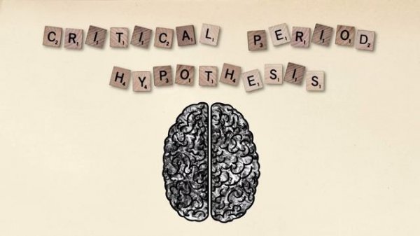 Ted-Ed. Benefits of bilingual brain