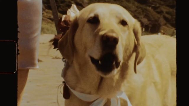 Kerry + Connor, Elopement on Cox Beach, Tofino [8mm + Digital] смотреть онлайн