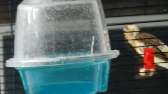 DSCN0567 смотреть онлайн