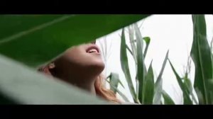 ПОЛЕ КУКУРУЗЫ ФИЛЬМ УЖАСОВ