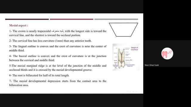 lec 7 ppt смотреть онлайн