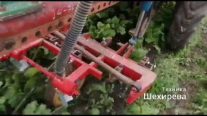 Культивация и подкормка свеклы самоходным культиватором на базе Т16