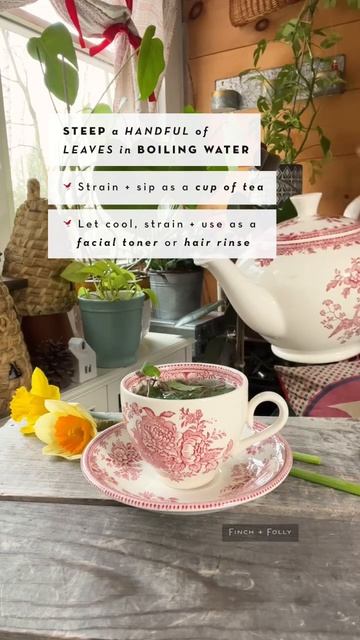 12 things to make with one pot of mint🌿 #herbgarden #eatwhatyougrow #mint #herbal #gardeningtips смотреть онлайн