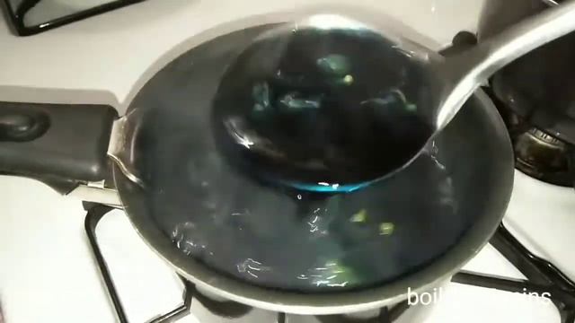 Blueternate Flower Milky Boba Tea смотреть онлайн