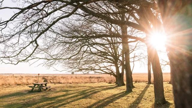 TRUMPET Relaxing MUSIC  - RELAXING Trumpet MUSIC