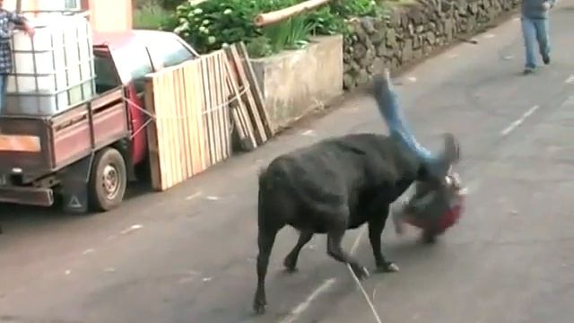 Бык убийца смотреть онлайн