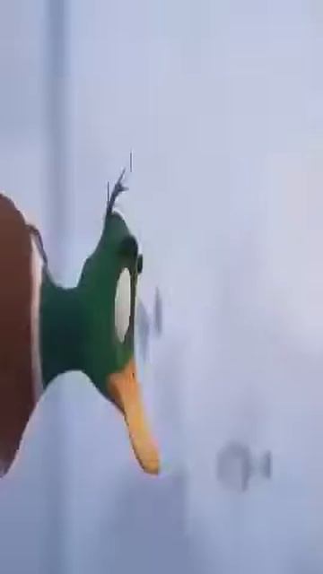 ¡Patos! Migration de Illumination🦆 Razones para que la veas otra vez смотреть онлайн