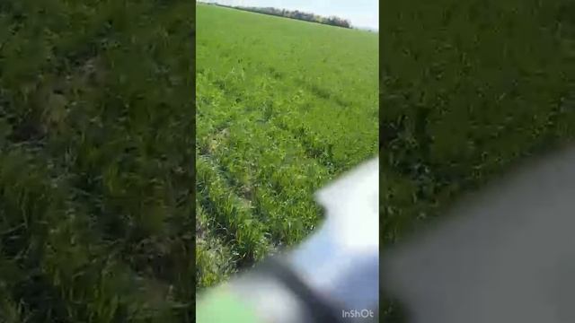 Озимая. Зима. Весна. 2025 г. смотреть онлайн