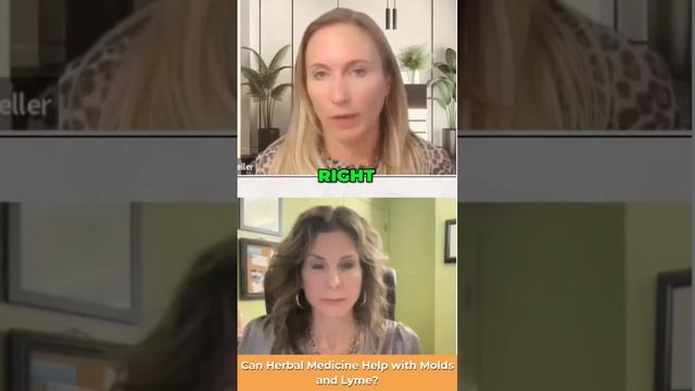 Can Herbal Medicine Help With Molds And Lyme? Lyme Disease Causes, Symptoms & Treatment