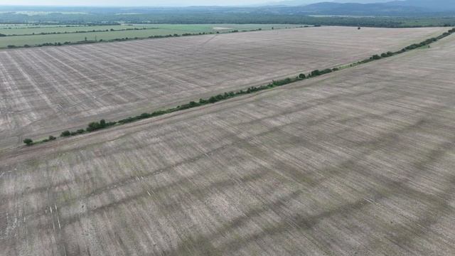Pепубликански път I-1 (Видин - Ботевград) Участък 4 Ружинци - Белотинци смотреть онлайн