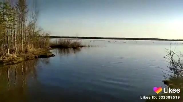 Лебеди смотреть онлайн