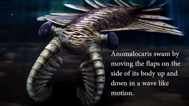 Anomalocaris смотреть онлайн