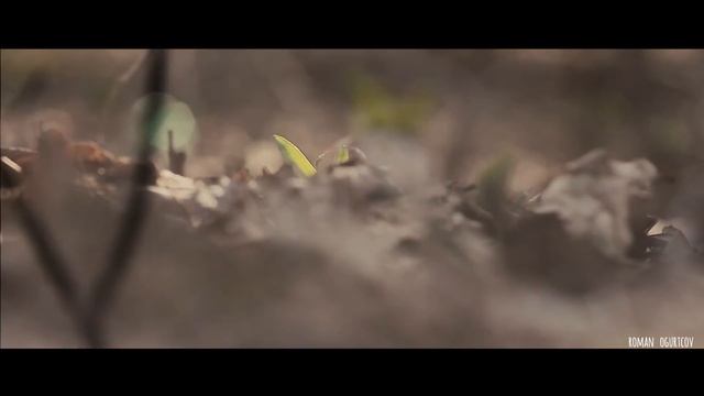 Весна пришла смотреть онлайн