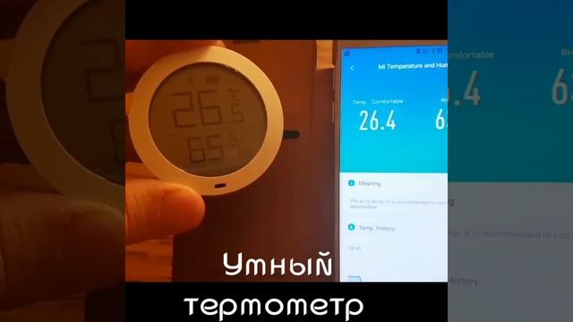 Датчик температуры и влажности Xiaomi Cleargrass смотреть онлайн