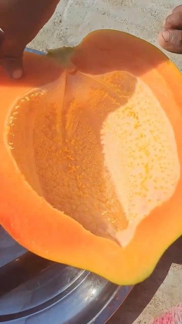 Delicious papaya without seeds स्वादिष्ट पपीता बिना बीज वाला смотреть онлайн