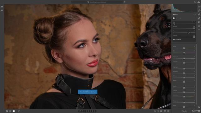 18-23 - Редактирование женщины и ее собаки Adobe Lightroom смотреть онлайн