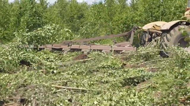 К700 пашет лес