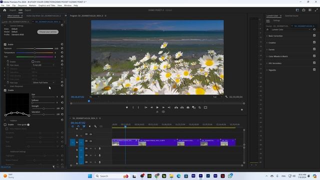 Натуральная + Cinematic цветокоррекция с камеры OSMO  POCKET 3