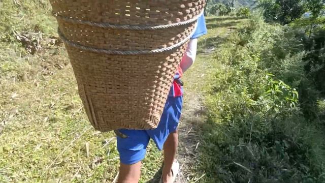 Kera🍌🍌katda Jhandai Maren Xote Le || Lamjung ||Thulibesi @naranresmi4716