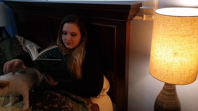 How the King of Elfhame learned to hate stories by Holly Black (Owlcrate Unboxing & Review) смотреть онлайн