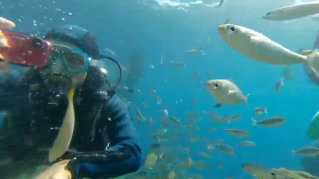 Scuba Diving in Turkey - Drifter's Point @ 15m смотреть онлайн