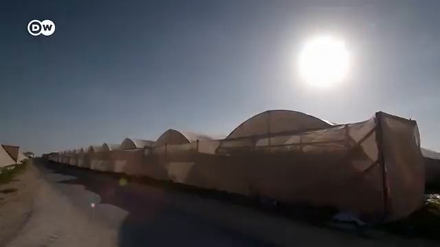 Documental DW El negocio con las semillas hibridas industriales смотреть онлайн