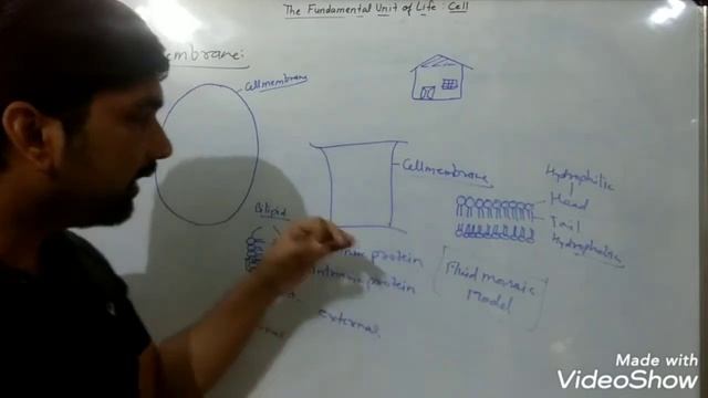 Class 9 Biology Revision (Part - 2) смотреть онлайн