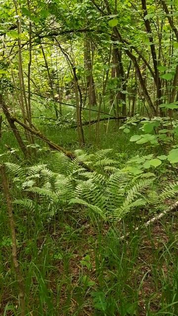 18 июня 2022 г. смотреть онлайн