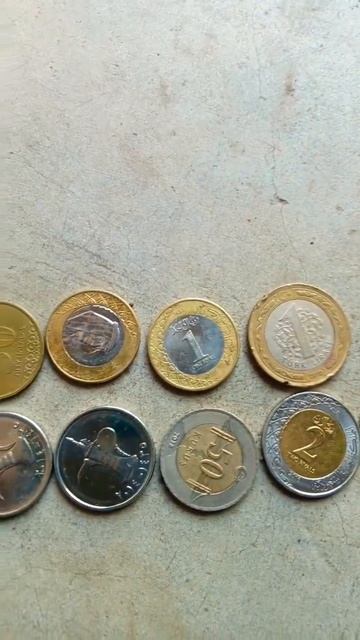 Saudi riyal, uae,Turk lirasi kurus,Kuwait ,Bahrain coins collections смотреть онлайн