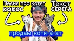 Песня про котят текст на русском @HolyBaam