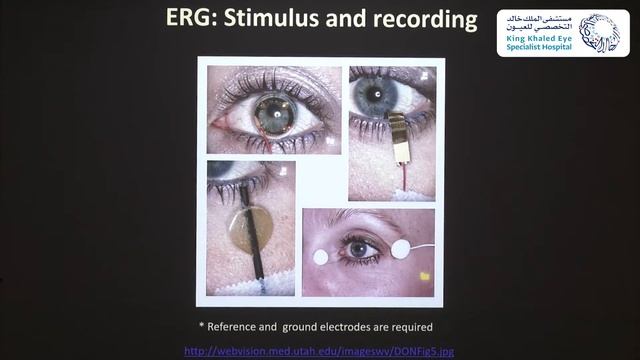 ERG Course смотреть онлайн