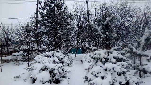 Зимняя сказка 5 01 2024 г смотреть онлайн