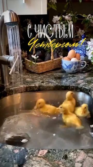 с Чистым Четвергом.mp4