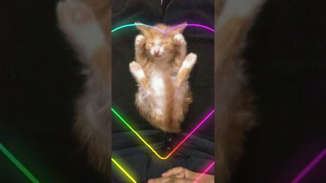 помните Мусю? так вот ловите трек с ней! смотреть онлайн