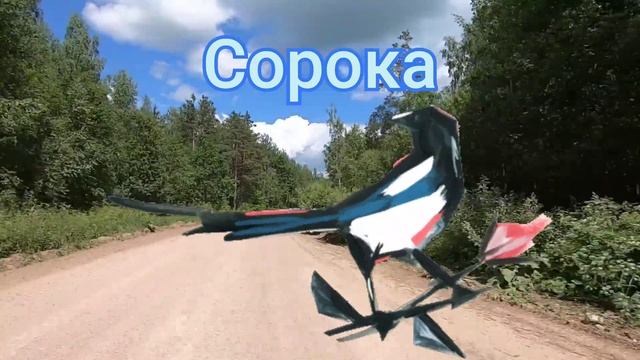 Птахи для дітей. Пізнавальне відео про птахів українською мовою. Вчимо пташок смотреть онлайн
