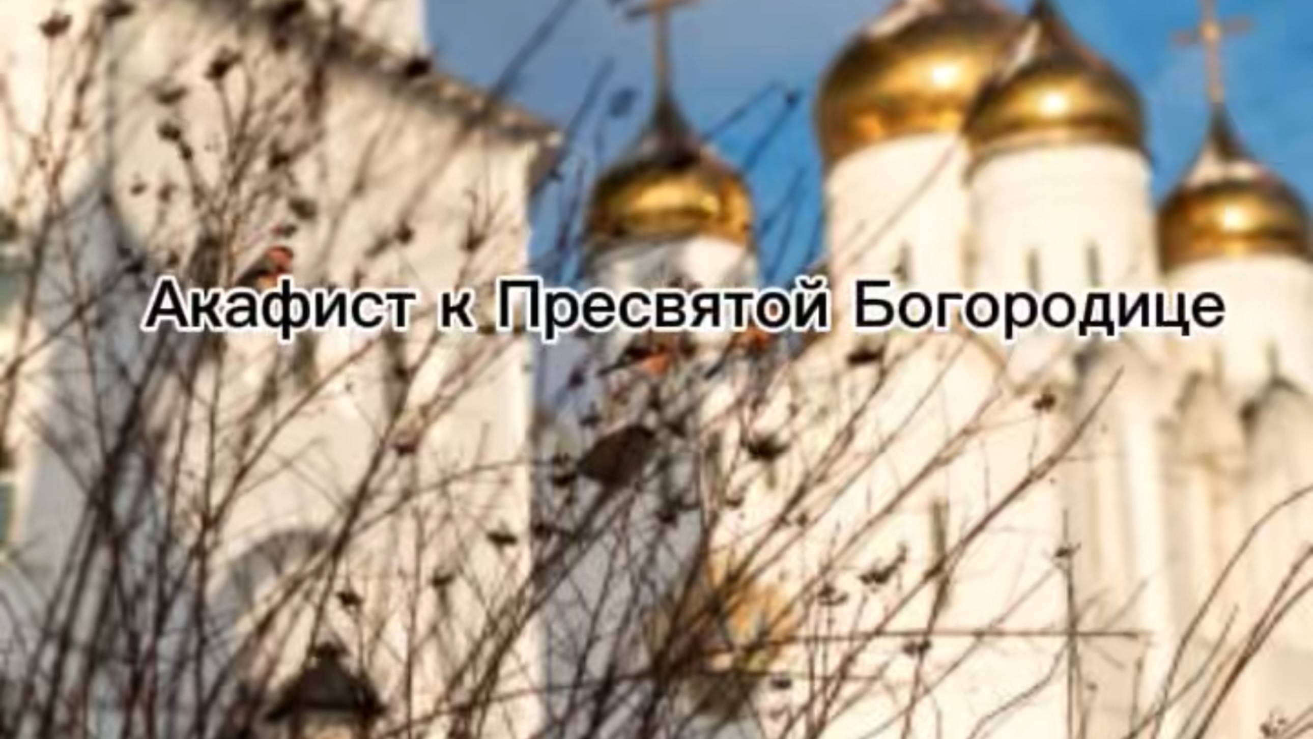 Акафист к Пресвятой Богородице смотреть онлайн
