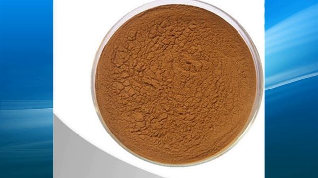 camellia extract supplier/wholesale/bulk/factory смотреть онлайн