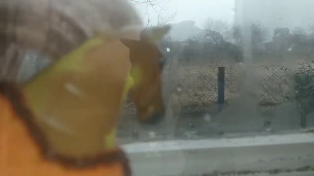 KAMINA-что мы делаем не так? смотреть онлайн