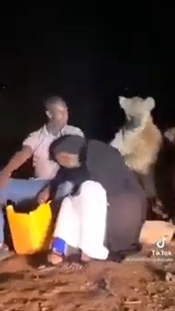 😂😂Hyna and woman its made her urinate her self 🤣🤣#shorts смотреть онлайн