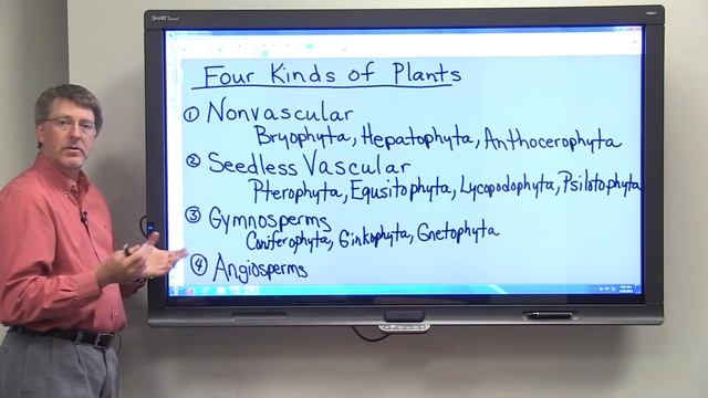 Four Kinds Of Plants