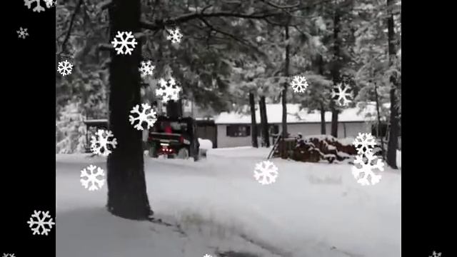 2009 Mangold Holiday Video смотреть онлайн
