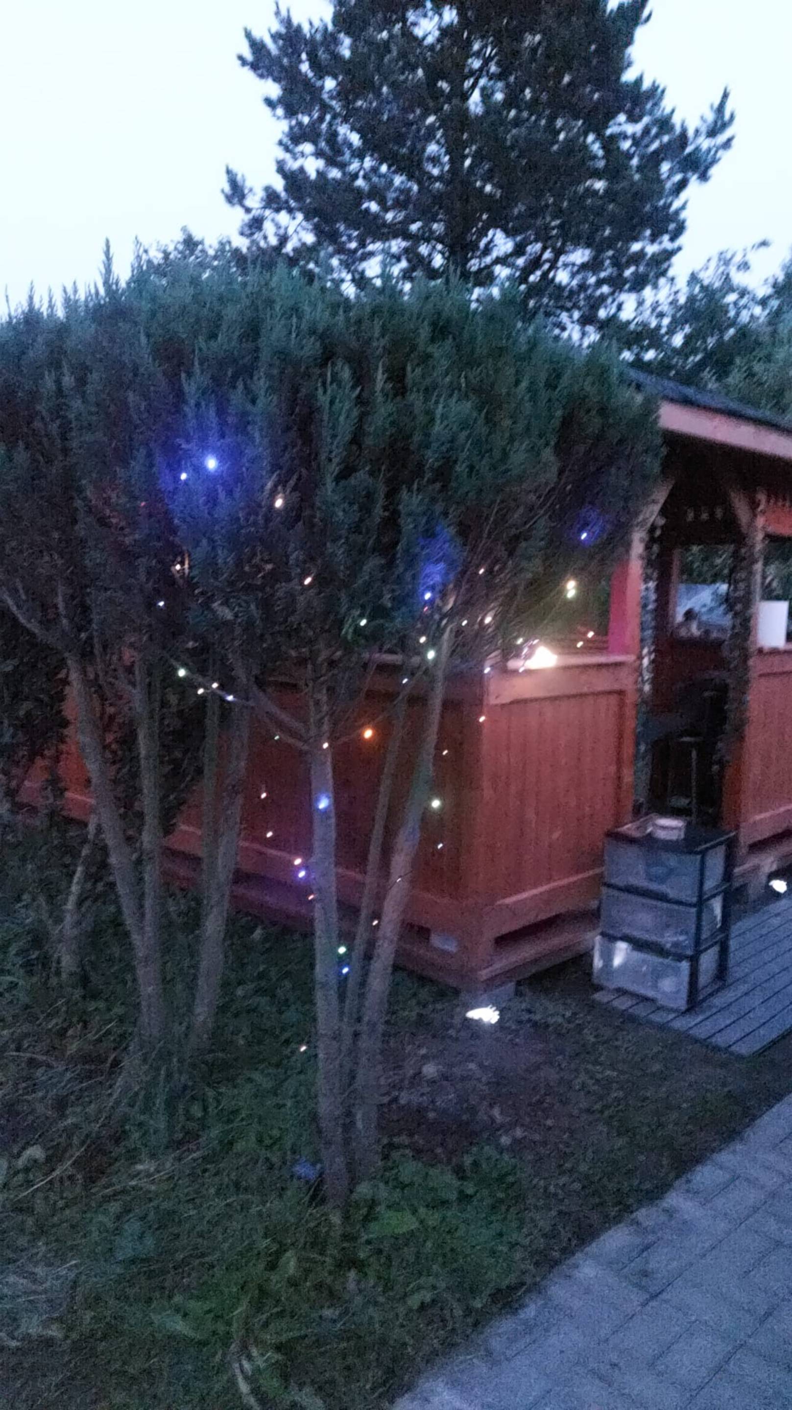 На даче в Чехии смотреть онлайн