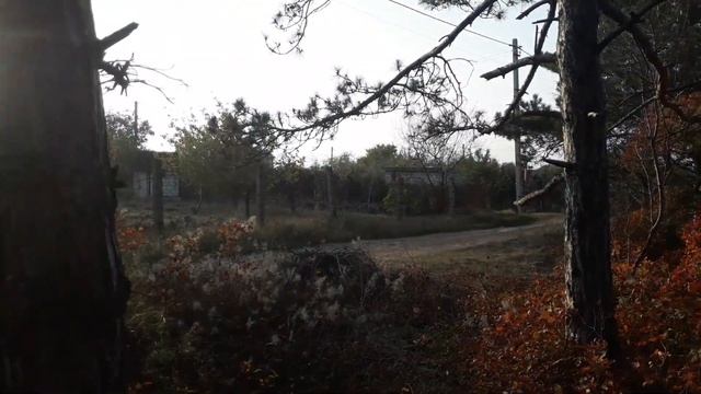 Краски крымской осени смотреть онлайн