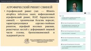 Болезни свиней. Способы их профилактики и лечения
