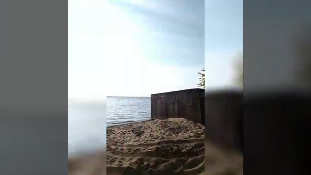 Поход на Волгу .  На обратном пути попалась змея гадюка .