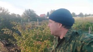 малина не малина, часть 1